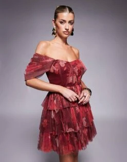Lace & Beads Off Shoulder Corset Tulle Mini Dress In Red Rose Print For Women Deep Red Rose -Doll Wear Style 208062811 3