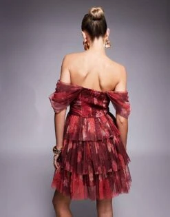 Lace & Beads Off Shoulder Corset Tulle Mini Dress In Red Rose Print For Women Deep Red Rose -Doll Wear Style 208062811 4